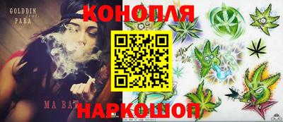 крисы Малгобек