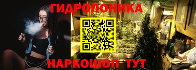 крисы Малгобек
