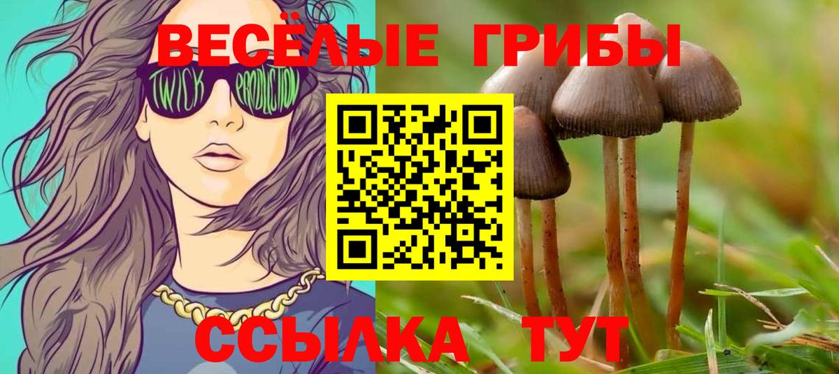 Щёлково  Псилоцибиновые грибы прущие грибы  Вход с VPN 