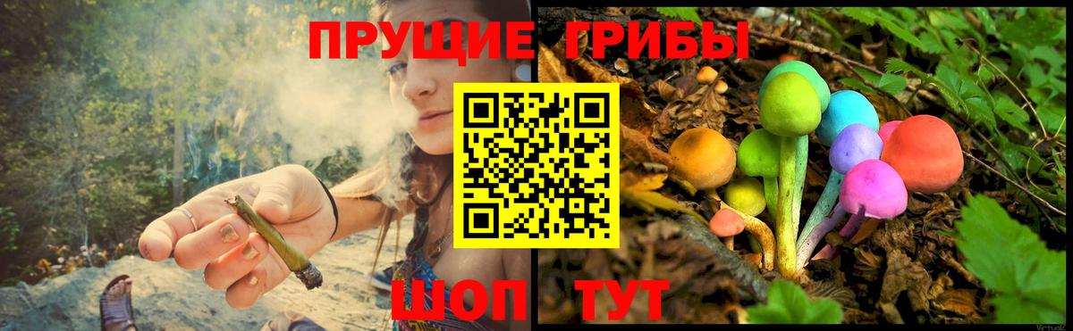 Псилоцибиновые грибы Psilocybine cubensis Щёлково